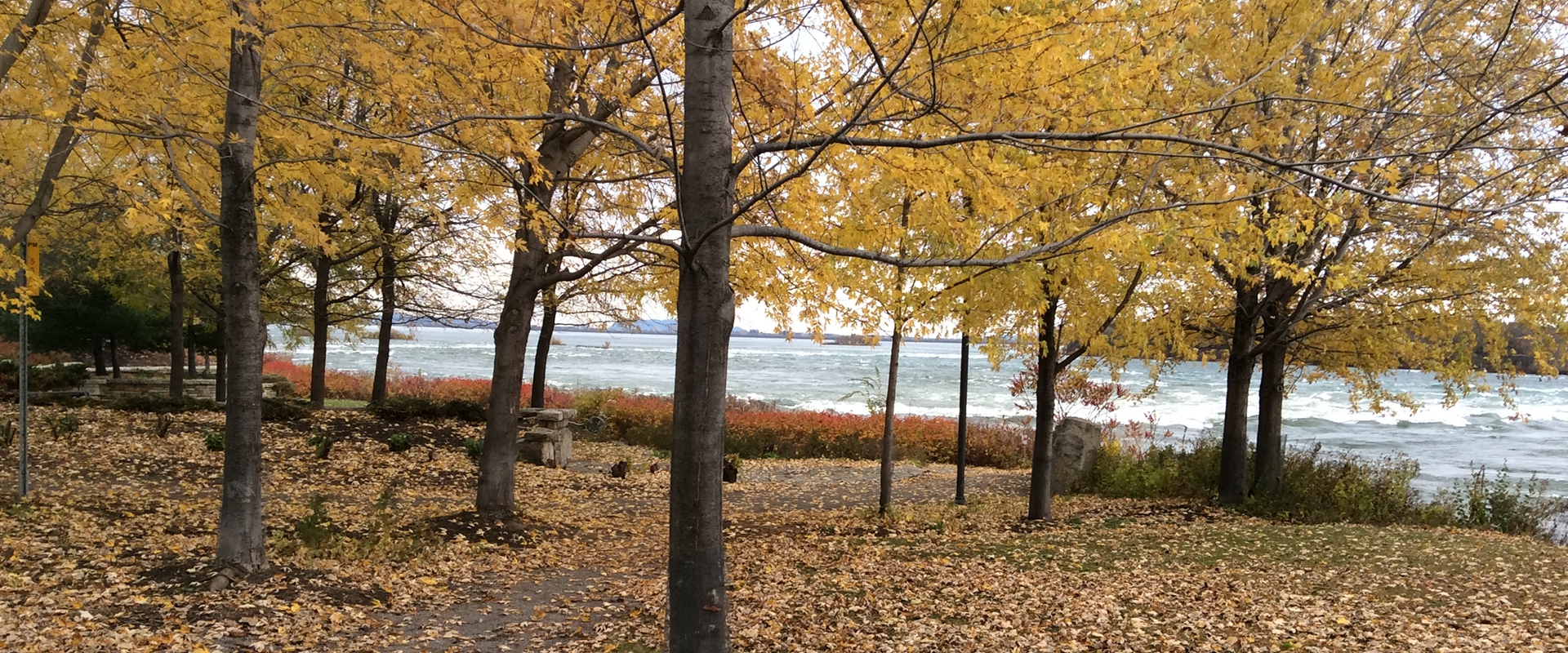 Joli en automne dans le Parc des Rapides